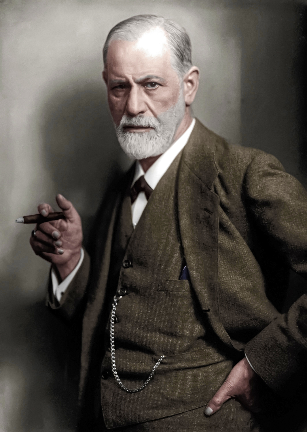 Sigmund Freud, numit și părintele psihoterapiei, a pus bazele a tot ceea ce este psihoterapia astăzi (1859 - 1939).